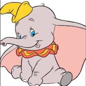 Meet your Posher, Irma